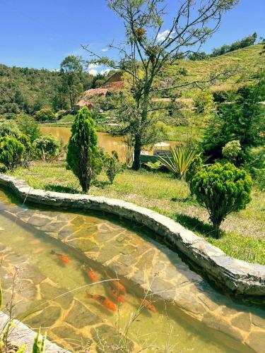 Aparthotel Los Lagos De Jas�