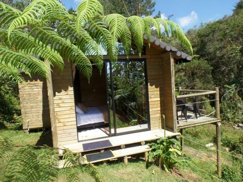 Glamping Oasis