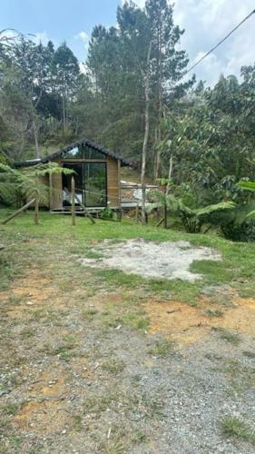 Glamping Oasis