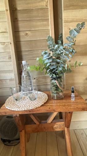 Glamping Oasis