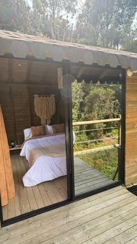 Glamping Oasis