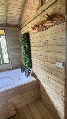 Glamping Oasis
