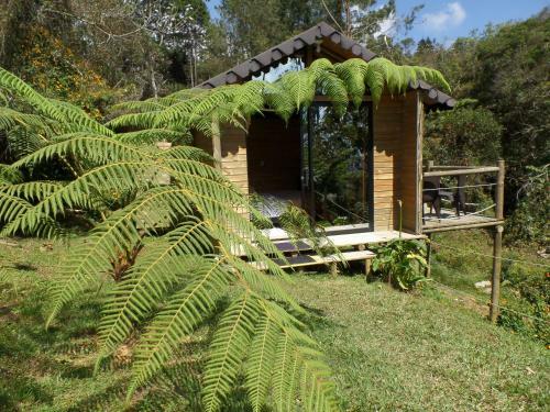 Glamping Oasis