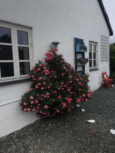 Vejle Golf Bed & Breakfast