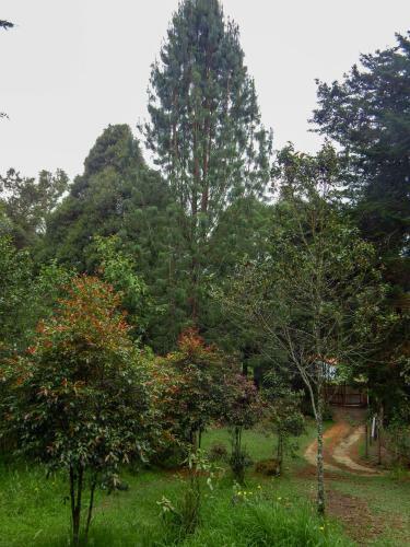 Lodge Cubo De Ensue�o