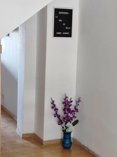 Apartamento C�modo Estudio En La V�a A Termales