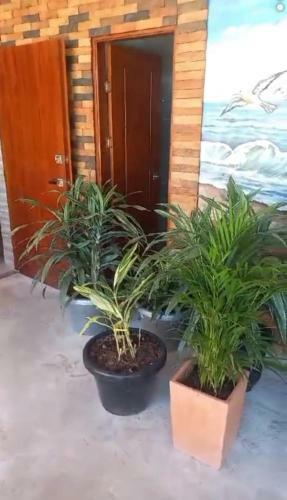 Hostal Caba�a Sol Y Mar Betta