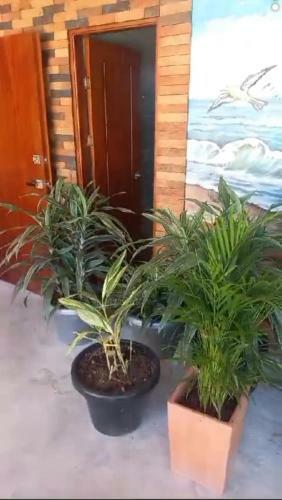 Hostal Caba�a Sol Y Mar Betta