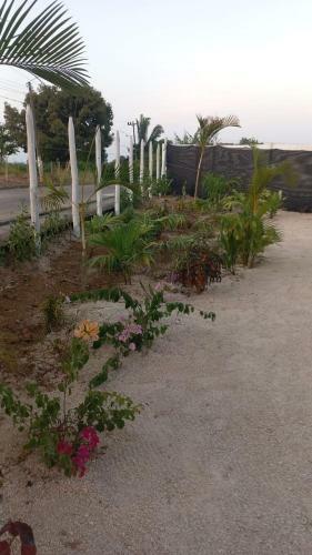 Hostal Caba�a Sol Y Mar Betta