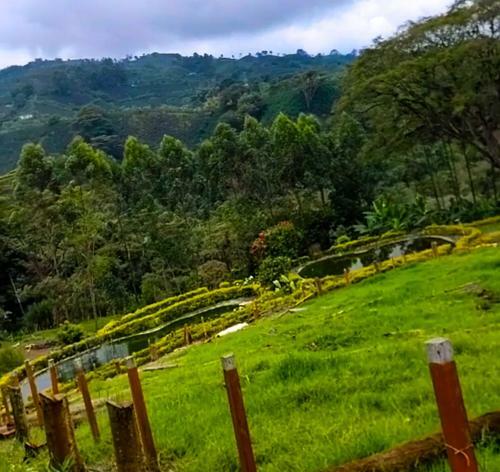 Agroturismo Hacienda La Riviera