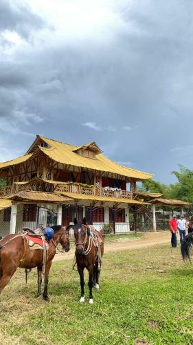 Hotel La Greca - Casa De Paz