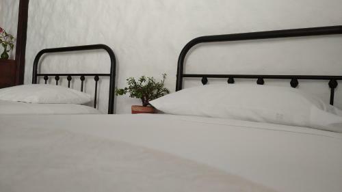 Hostal Casa Luna Hotel Campestre & Spa