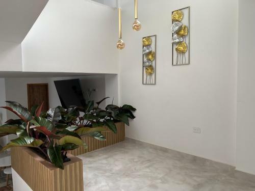Hotel Gran Plaza San Agustin