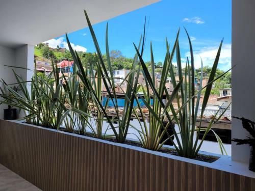 Hotel Gran Plaza San Agustin