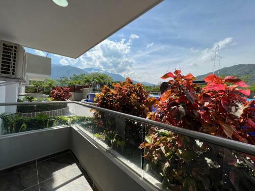 Oasis Apartamentos Tur�sticos, San Jer�nimo