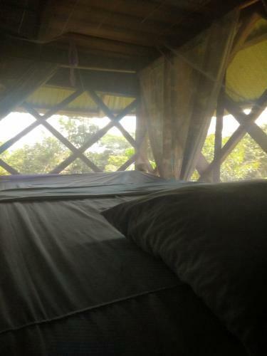 Hostal Lom�n De Los Zipas Amaz�nicos
