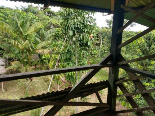 Hostal Lom�n De Los Zipas Amaz�nicos