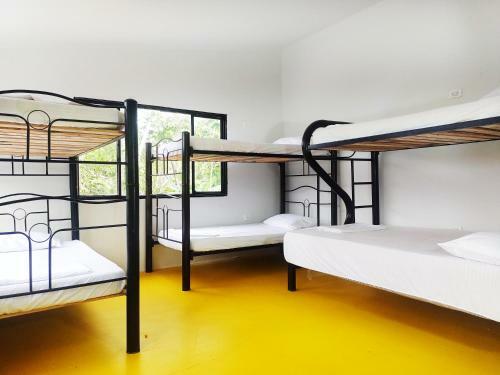 Hostal Amalaya Hostel
