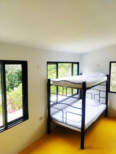 Hostal Amalaya Hostel