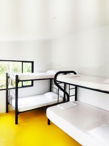 Hostal Amalaya Hostel