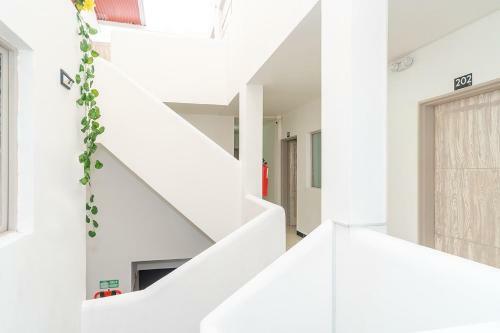 Hotel Mazal Rionegro