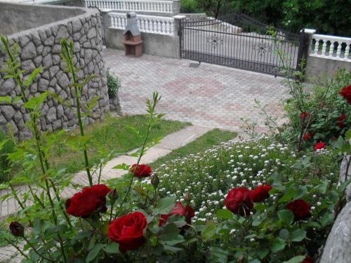 Apartment Ledenice 2