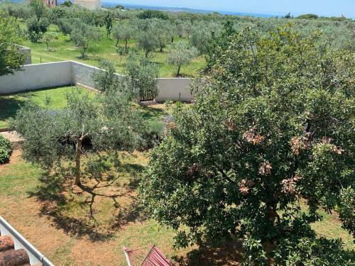 Vacation Home Elba