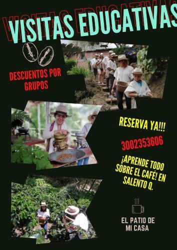 Bed & Breakfast Hostal Los Balcones