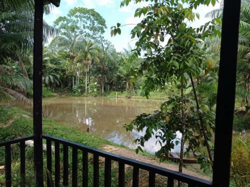 Apartamento Caba�as Dechi