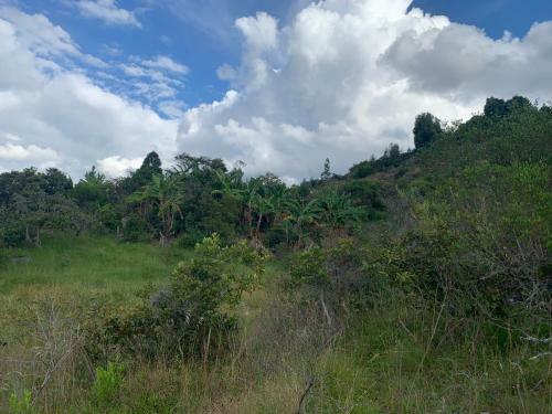 Finca Villa Pedregal Raquira