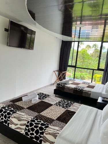 Hotel Campestre Nogal De Cafetal