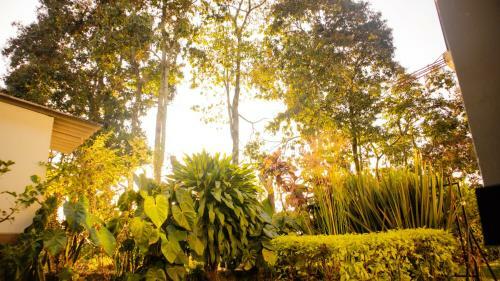 Hotel Campestre Nogal De Cafetal