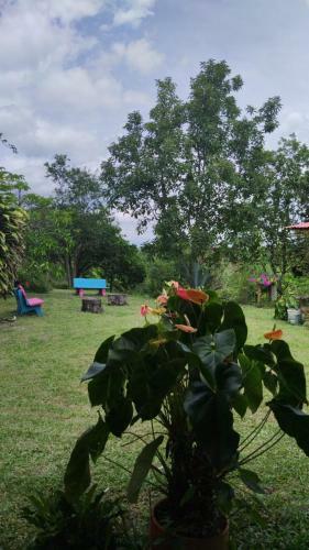 Agroturismo Encanto Cafetero Quimbaya