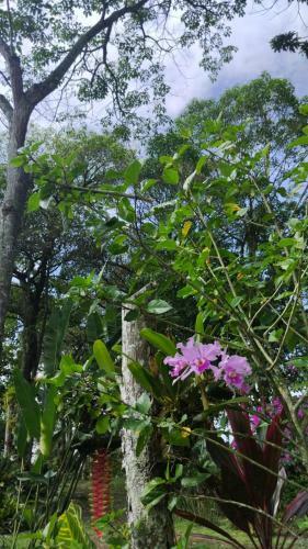 Agroturismo Encanto Cafetero Quimbaya