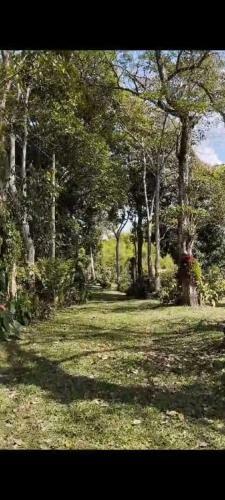 Agroturismo Encanto Cafetero Quimbaya