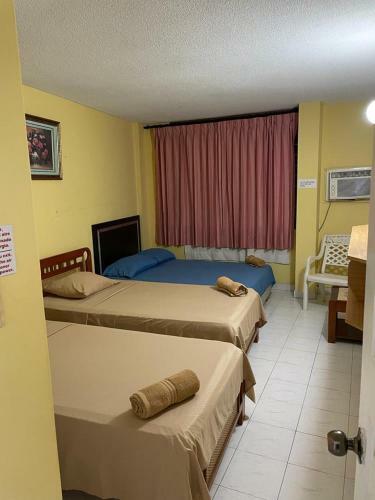 Apartamentos Salome