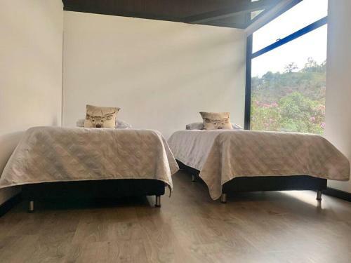 Creek House /casa De Los Arroyos