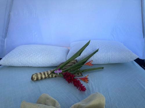 Popochos Beach Eco-lodge