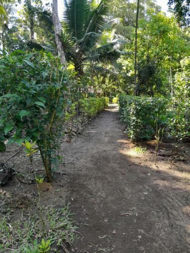 Lodge Ecohotel Bah�a Terco