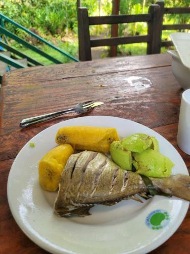 Lodge Ecohotel Bah�a Terco