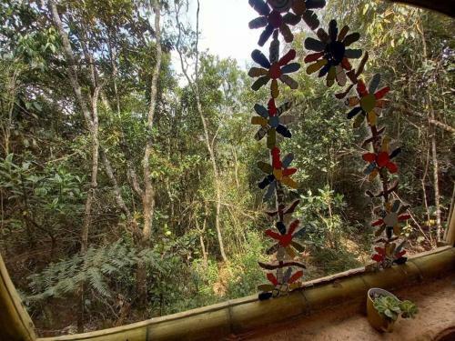 Eco Aldea Caba�a Bosque Hondo