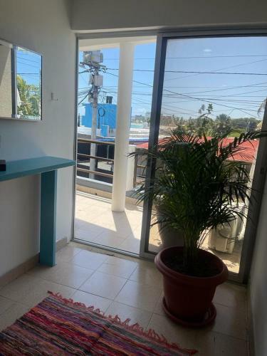 Portoazul