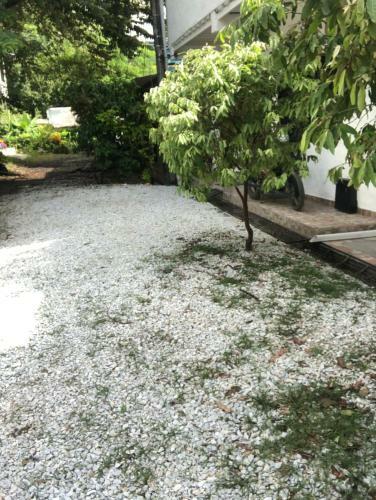 Apartamento El Ed�n