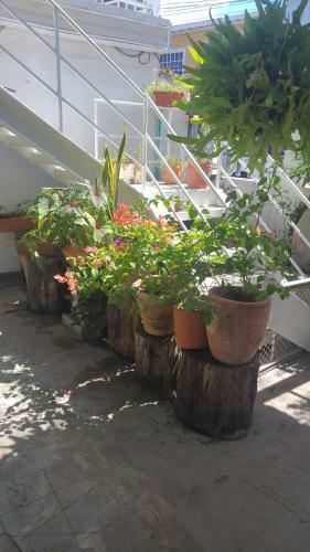 Apartamento Arnas Home