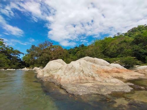 Hostal Flor Tayrona