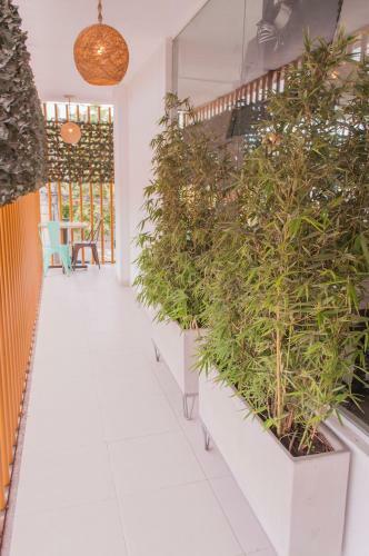 Albergue Hostal Las Guaduas