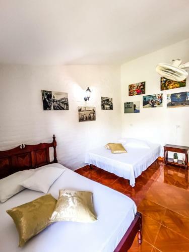 Melao Hostel Campestre Y Vivero