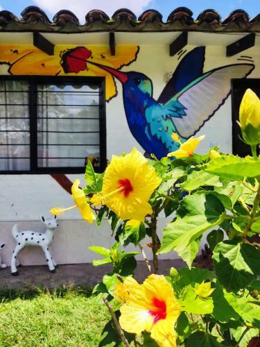 Melao Hostel Campestre Y Vivero