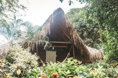 Posada Caba�a Wiwa Tayrona