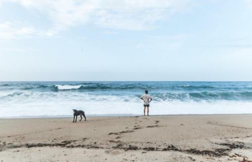 Posada Caba�a Wiwa Tayrona